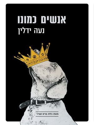 cover image of אנשים כמונו (People Like Us)